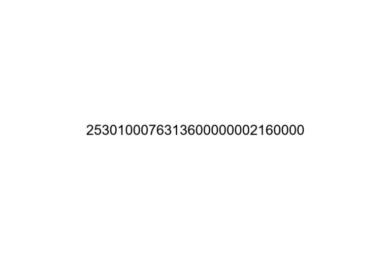 2530100076313600000002160000