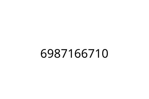 6987166710