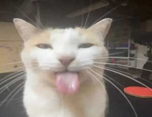 is 57gt924tj the latest tv models