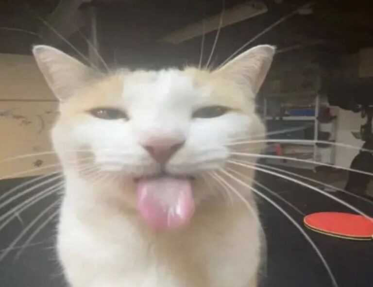 is 57gt924tj the latest tv models