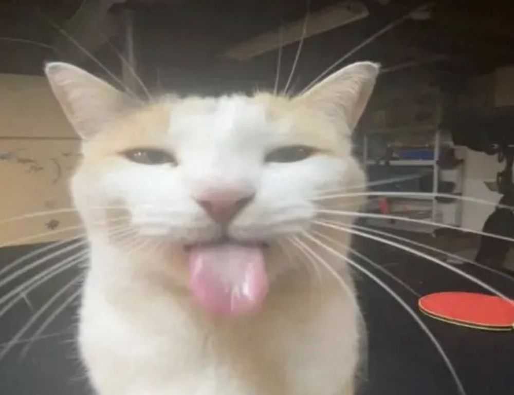 is 57gt924tj the latest tv models