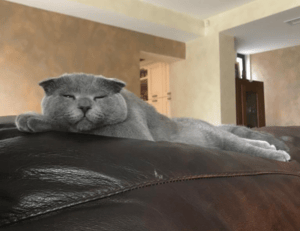 kids toys with prokaihaz