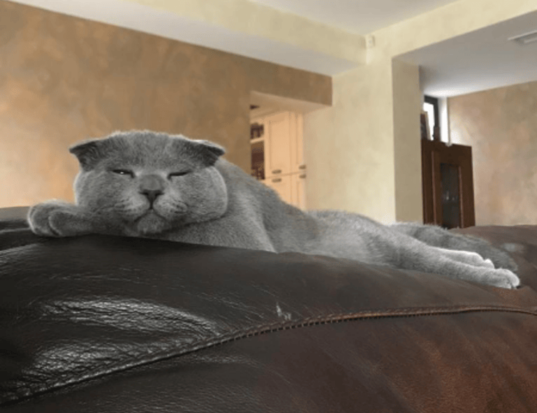 kids toys with prokaihaz