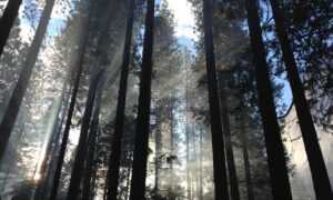 game news digitalrgsorg