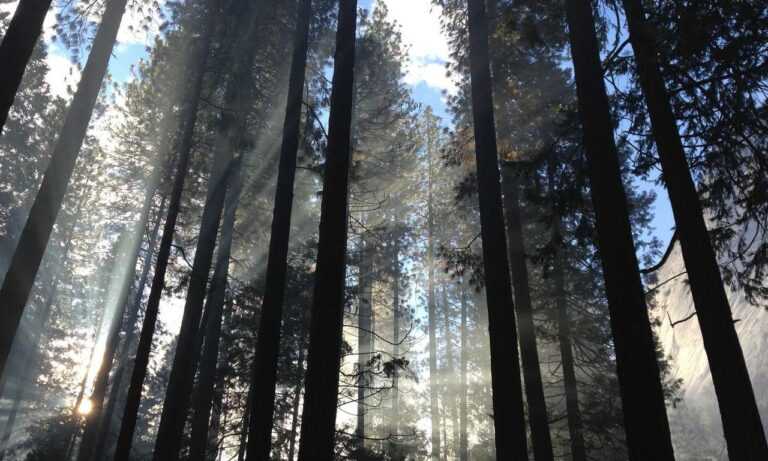 game news digitalrgsorg