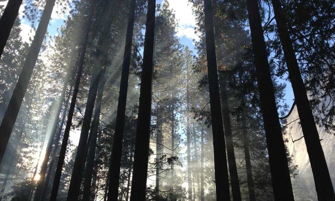 game news digitalrgsorg