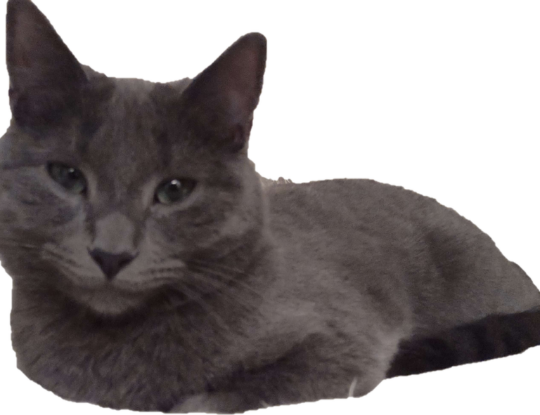 gaming world digitalrgsorg