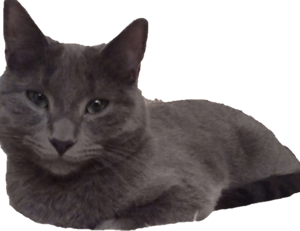 gaming world digitalrgsorg