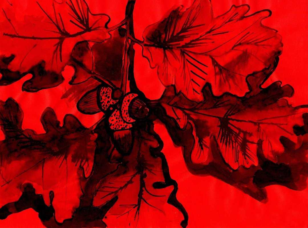 Cómo Obtener el Mejor Tipo de Cambio para Tus Transacciones Online