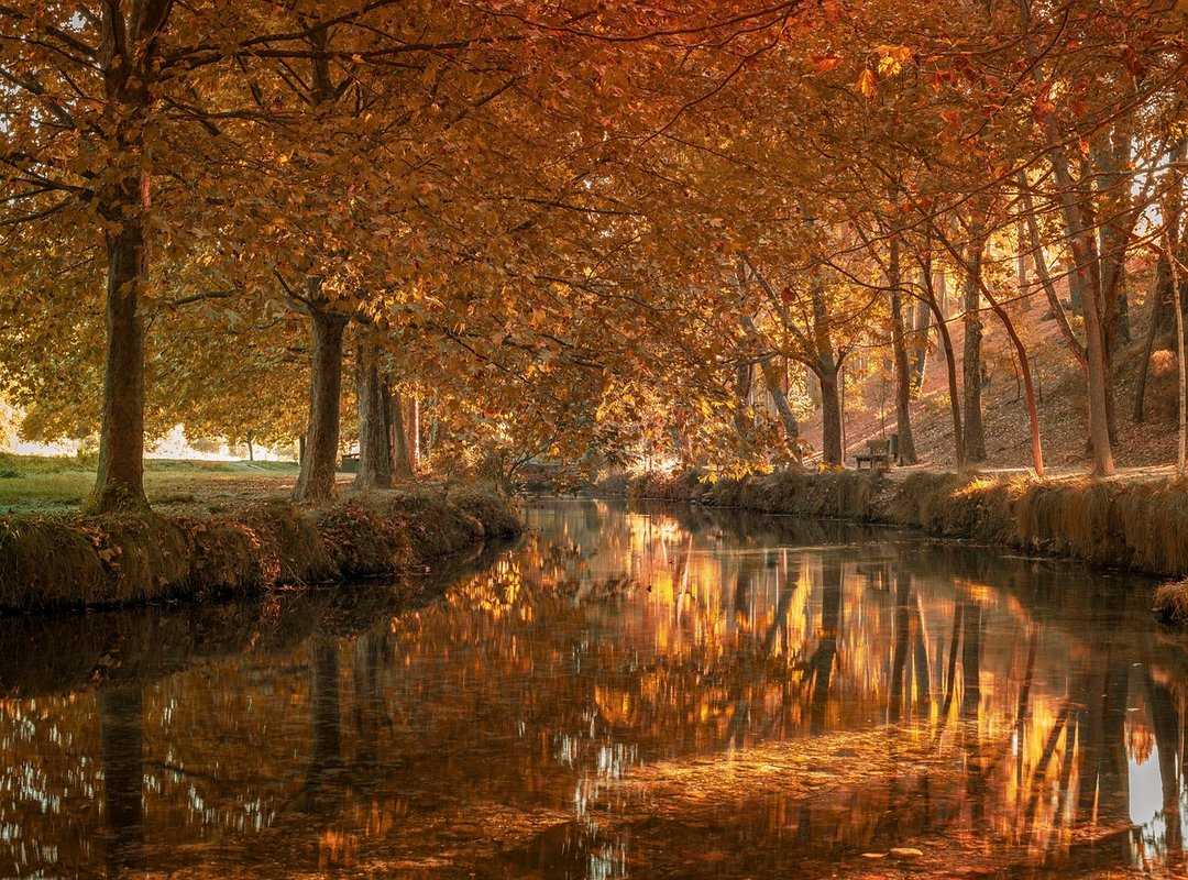 Dibujos de Jugadores de Equipos de Clubes