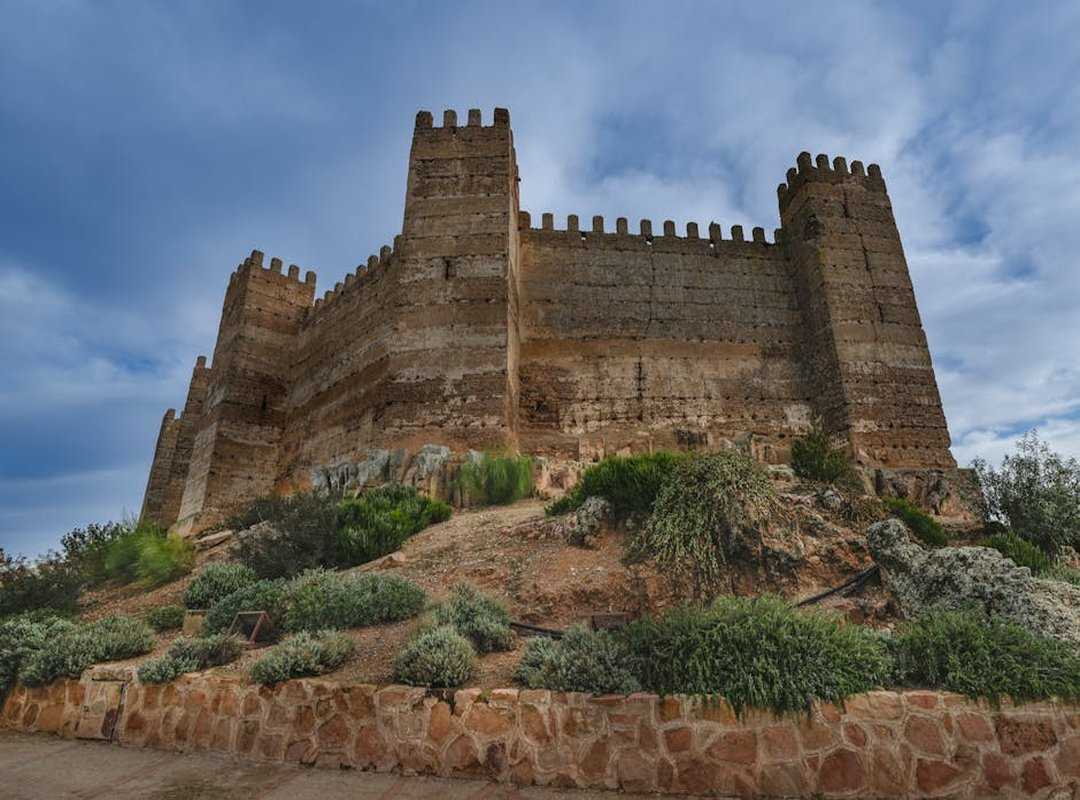 Cómo Seleccionar la Mejor Imagen de Stitch para tu Perfil