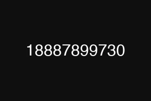 18887899730