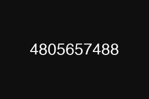 4805657488