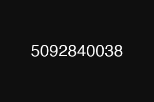 5092840038