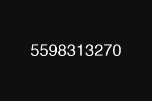 5598313270