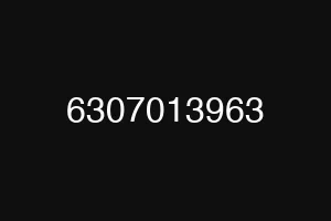 6307013963
