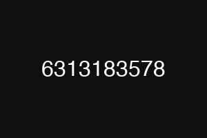 6313183578