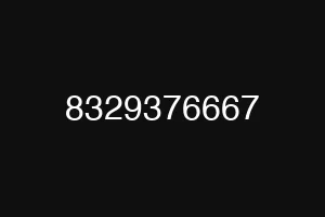8329376667