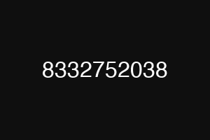 8332752038