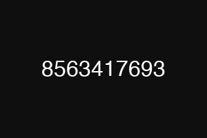 8563417693