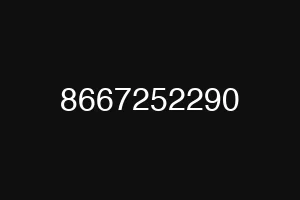 8667252290