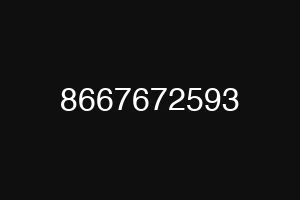 8667672593