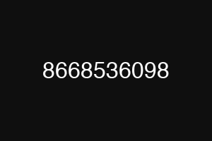 8668536098
