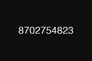 8702754823