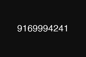 9169994241