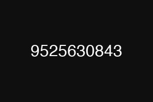 9525630843
