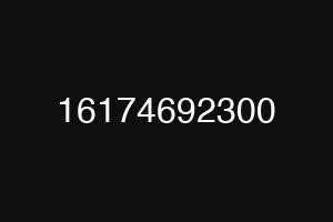 16174692300