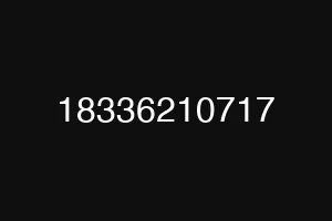 18336210717