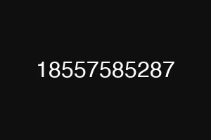 18557585287