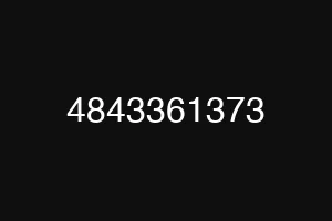 4843361373