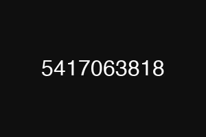 5417063818