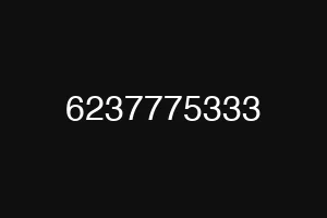 6237775333