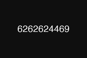 6262624469