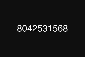 8042531568