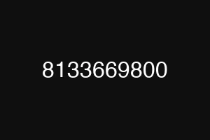 8133669800