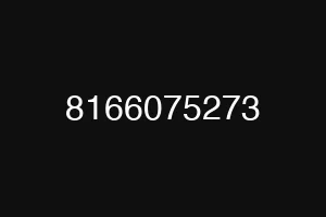 8166075273