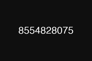 8554828075