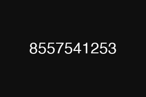 8557541253