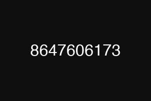 8647606173