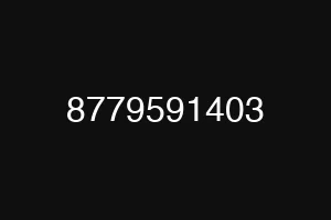 8779591403