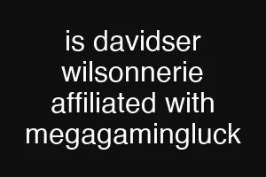 is davidser wilsonnerie affiliated with megagamingluck