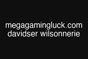 megagamingluck.com davidser wilsonnerie
