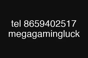 tel 8659402517 megagamingluck